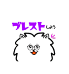 意識高い系ポメチワの日常つかえるスタンプ（個別スタンプ：1）