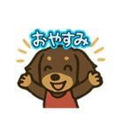 ミニチュアダックスらむの日常スタンプ（個別スタンプ：20）