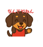 ミニチュアダックスらむの日常スタンプ（個別スタンプ：30）