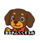 ミニチュアダックスらむの日常スタンプ（個別スタンプ：31）