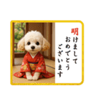 1年まるごと！トイプードルの行事スタンプ（個別スタンプ：4）