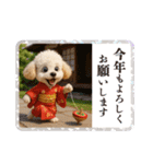 1年まるごと！トイプードルの行事スタンプ（個別スタンプ：8）