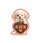 1年まるごと！トイプードルの行事スタンプ（個別スタンプ：15）