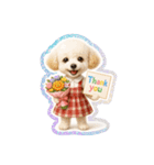 1年まるごと！トイプードルの行事スタンプ（個別スタンプ：20）