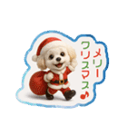 1年まるごと！トイプードルの行事スタンプ（個別スタンプ：35）