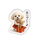 1年まるごと！トイプードルの行事スタンプ（個別スタンプ：37）