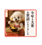 1年まるごと！トイプードルの行事スタンプ（個別スタンプ：38）