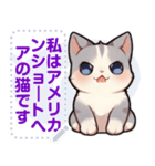 アメリカンショートヘア - 日常用語（J1）（個別スタンプ：2）