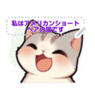アメリカンショートヘア - 日常用語（J1）（個別スタンプ：3）