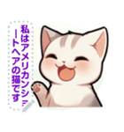 アメリカンショートヘア - 日常用語（J1）（個別スタンプ：14）