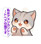 アメリカンショートヘア - 日常用語（J1）（個別スタンプ：18）