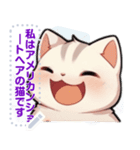 アメリカンショートヘア - 日常用語（J1）（個別スタンプ：20）