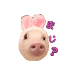 れっぷあ。（個別スタンプ：2）