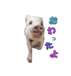 れっぷあ。（個別スタンプ：4）