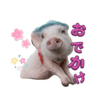 れっぷあ。（個別スタンプ：15）