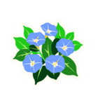 あさがおのお花スタンプ（個別スタンプ：1）