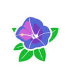 あさがおのお花スタンプ（個別スタンプ：5）