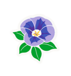 あさがおのお花スタンプ（個別スタンプ：7）
