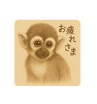 リスザルのやさしい時間（個別スタンプ：3）