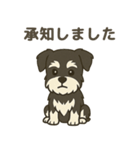 ミニチュアシュナウザー LUKE（個別スタンプ：2）