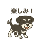 ミニチュアシュナウザー LUKE（個別スタンプ：8）