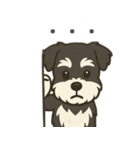 ミニチュアシュナウザー LUKE（個別スタンプ：10）