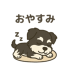 ミニチュアシュナウザー LUKE（個別スタンプ：12）