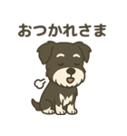 ミニチュアシュナウザー LUKE（個別スタンプ：16）