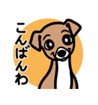 【レッド3】1年中使える♡パピーイタグレ（個別スタンプ：3）
