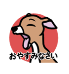 【レッド3】1年中使える♡パピーイタグレ（個別スタンプ：4）