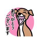 【レッド3】1年中使える♡パピーイタグレ（個別スタンプ：5）