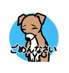 【レッド3】1年中使える♡パピーイタグレ（個別スタンプ：7）