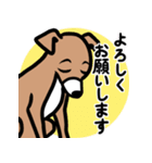 【レッド3】1年中使える♡パピーイタグレ（個別スタンプ：9）