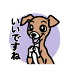 【レッド3】1年中使える♡パピーイタグレ（個別スタンプ：13）
