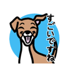 【レッド3】1年中使える♡パピーイタグレ（個別スタンプ：14）