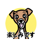 【レッド3】1年中使える♡パピーイタグレ（個別スタンプ：16）