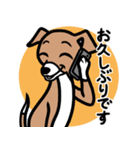 【レッド3】1年中使える♡パピーイタグレ（個別スタンプ：17）