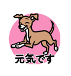 【レッド3】1年中使える♡パピーイタグレ（個別スタンプ：19）