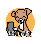 【レッド3】1年中使える♡パピーイタグレ（個別スタンプ：24）