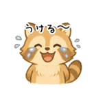 ふわふわアライグマ（個別スタンプ：16）