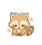 ふわふわアライグマ（個別スタンプ：19）