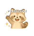 ふわふわアライグマ（個別スタンプ：25）