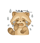 ふわふわアライグマ（個別スタンプ：39）