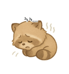 ふわふわアライグマ（個別スタンプ：40）
