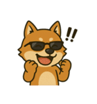 グラサンしば（個別スタンプ：3）