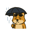 グラサンしば（個別スタンプ：14）