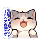 アメリカンショートヘア - 日常用語（J2）（個別スタンプ：3）