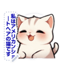 アメリカンショートヘア - 日常用語（J2）（個別スタンプ：5）