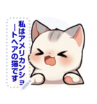 アメリカンショートヘア - 日常用語（J2）（個別スタンプ：13）