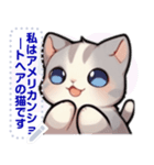 アメリカンショートヘア - 日常用語（J2）（個別スタンプ：14）